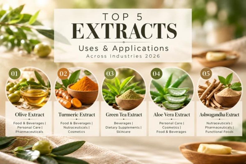 Top 5 Extracts Uses & Applications Across Industries 2026