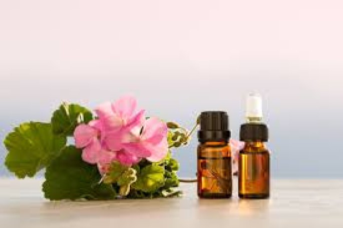 Rose Geranium Essential Oil (Cosmetic)