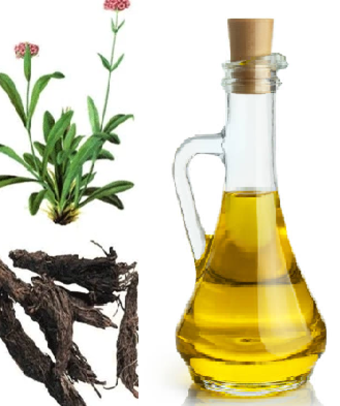 Jatamansi (Spikenard) Essential Oil