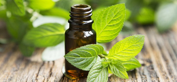 Peppermint Essential Oil (Cosmetic)