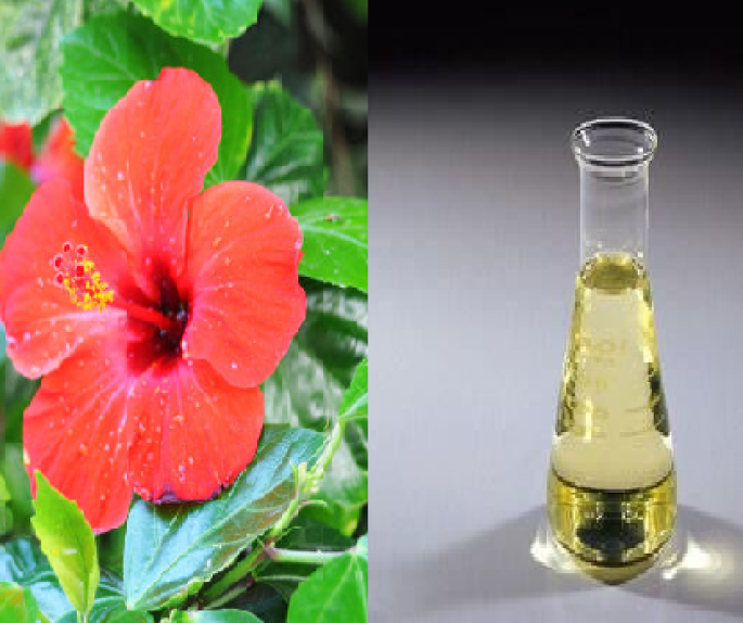 Hibiscus Extract (WATER SOLUBLE)