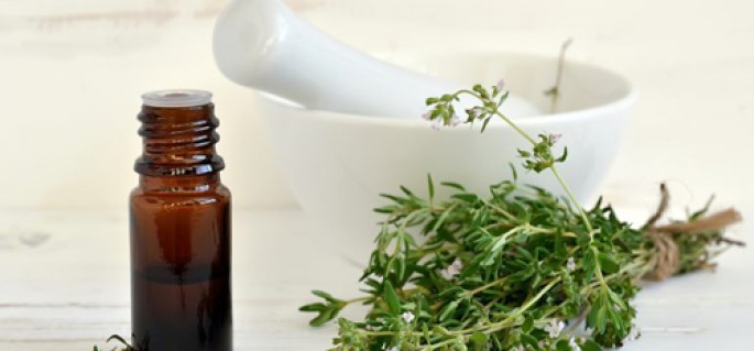 Thyme (Hungary) Thyme Essential Oil