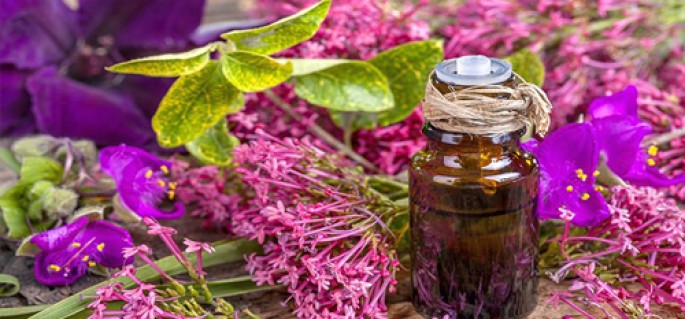 Clary Sage Essential Oil (Cosmetic)