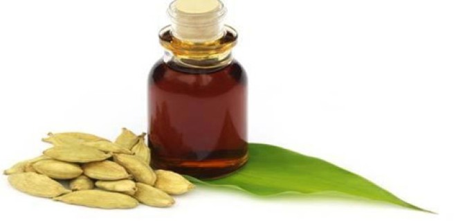 Cardamom Essential Oil (Cosmetic)