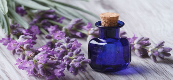 Lavender Essential Oil (Cosmetic)