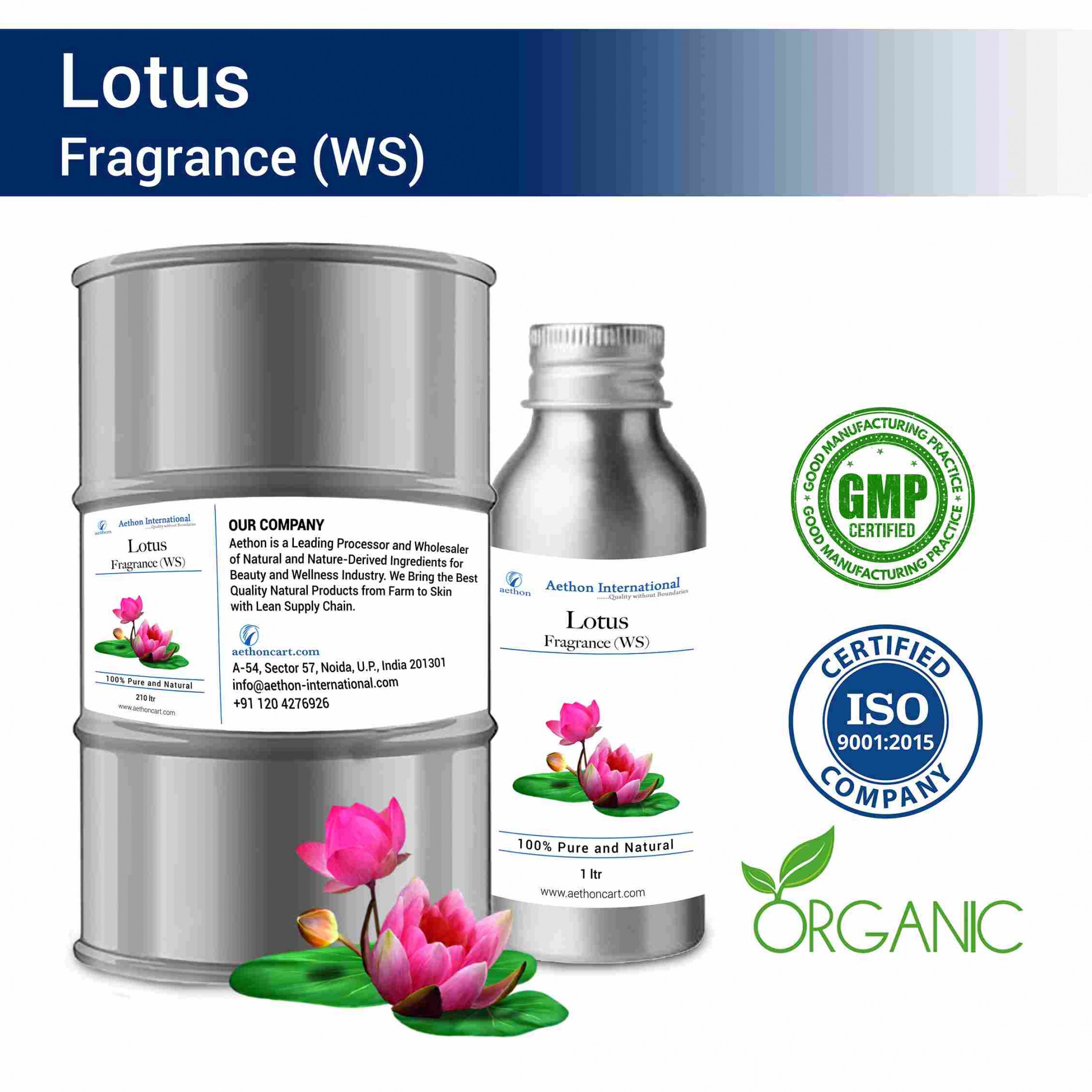Lotus Fragrance (WS)