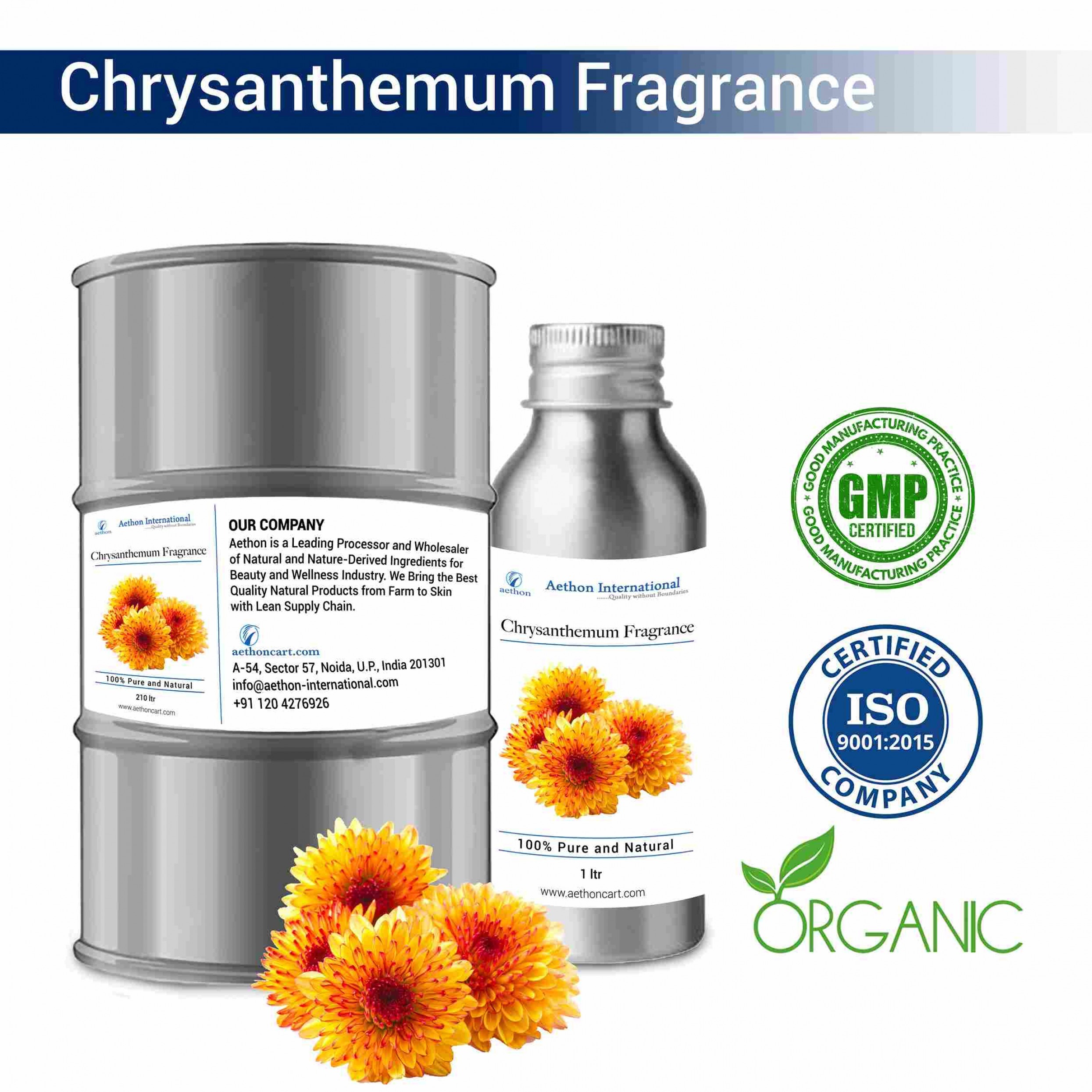 Chrysanthemum Fragrance