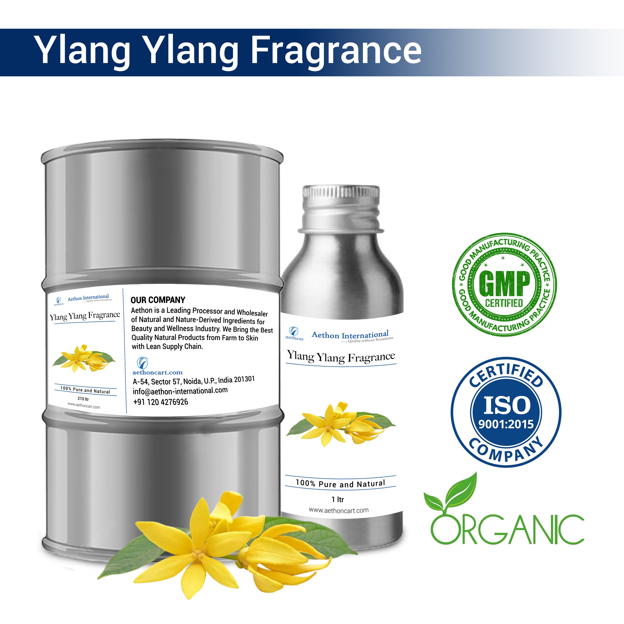 Ylang Ylang Fragrances (WS)