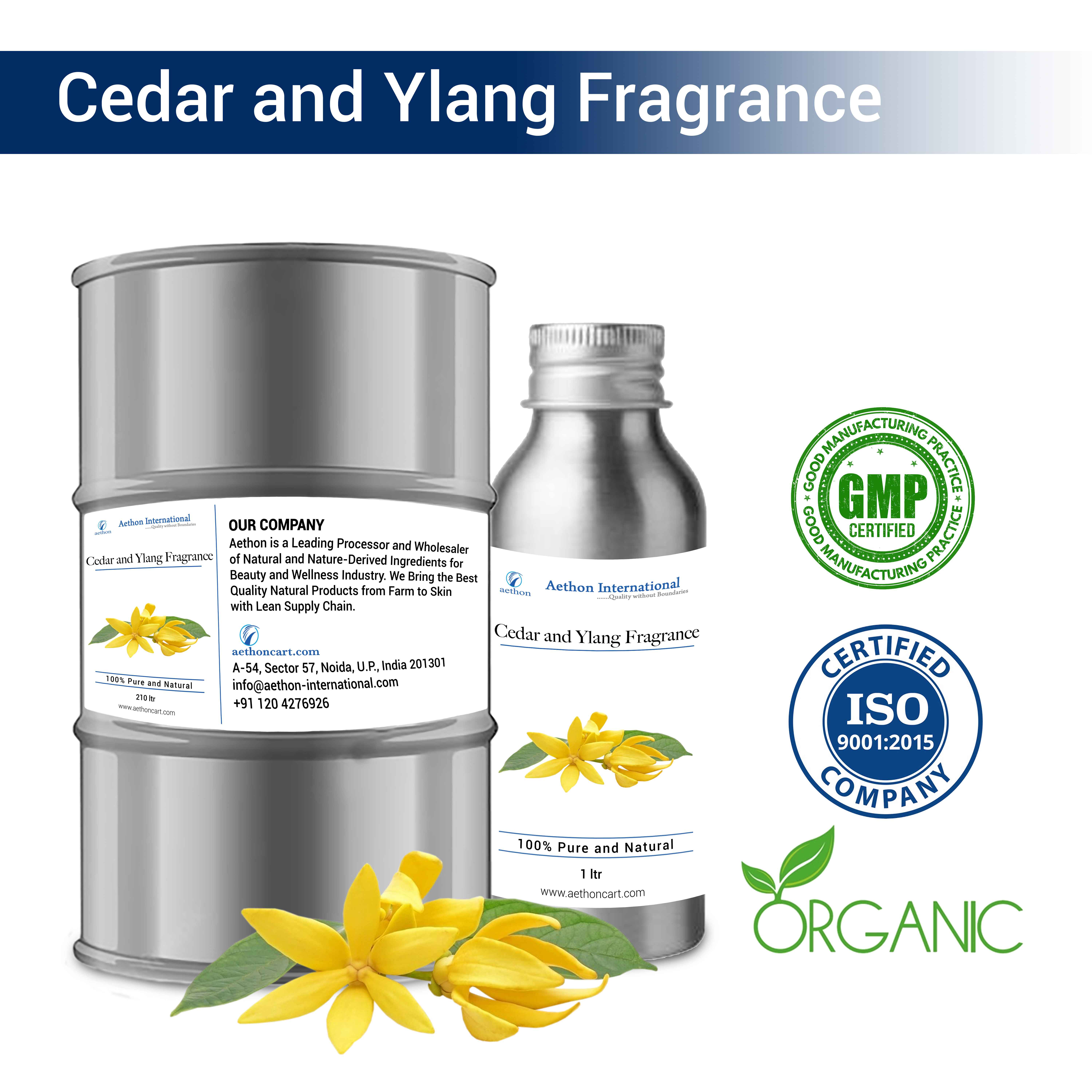 Cedar and Ylang Ylang Fragrance