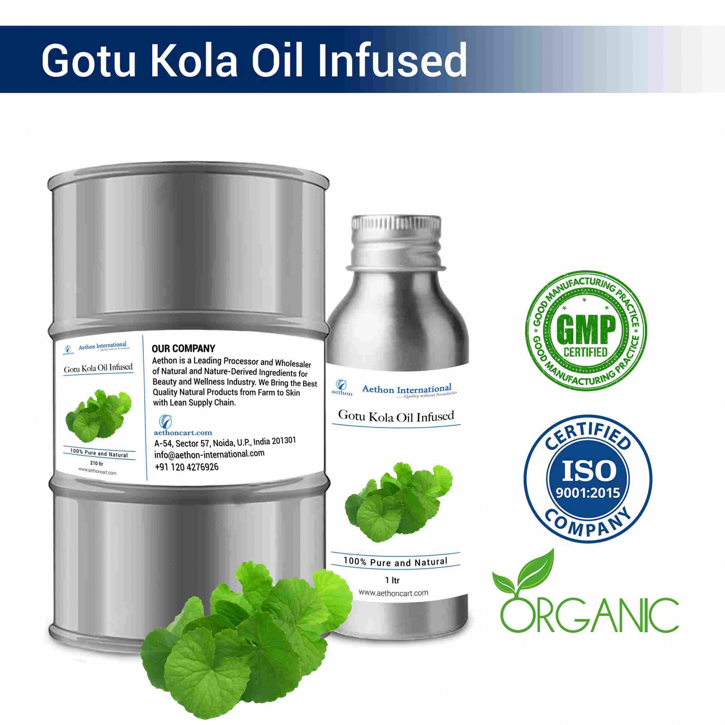 Gotu Kola Oil Infused