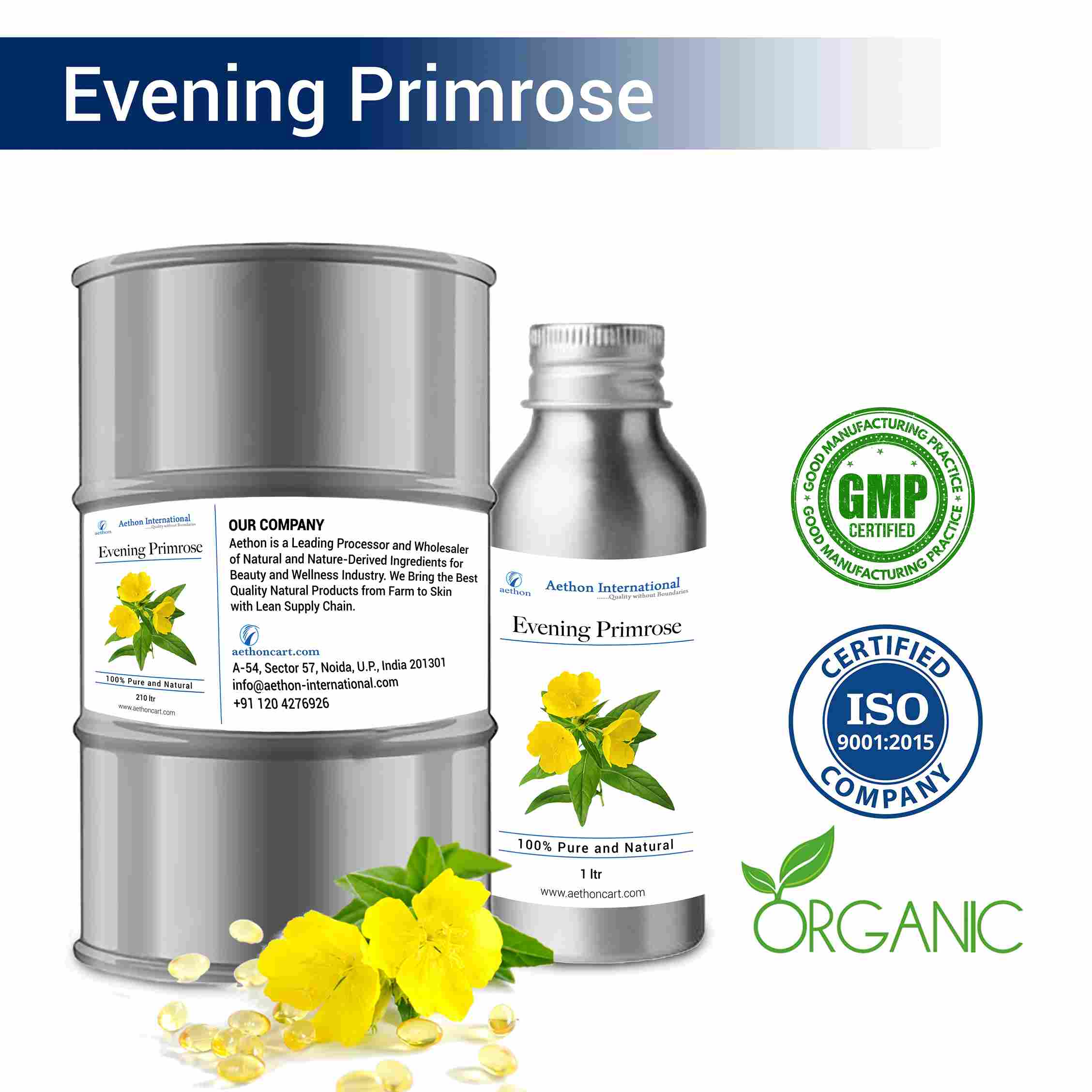 Evening Primrose
