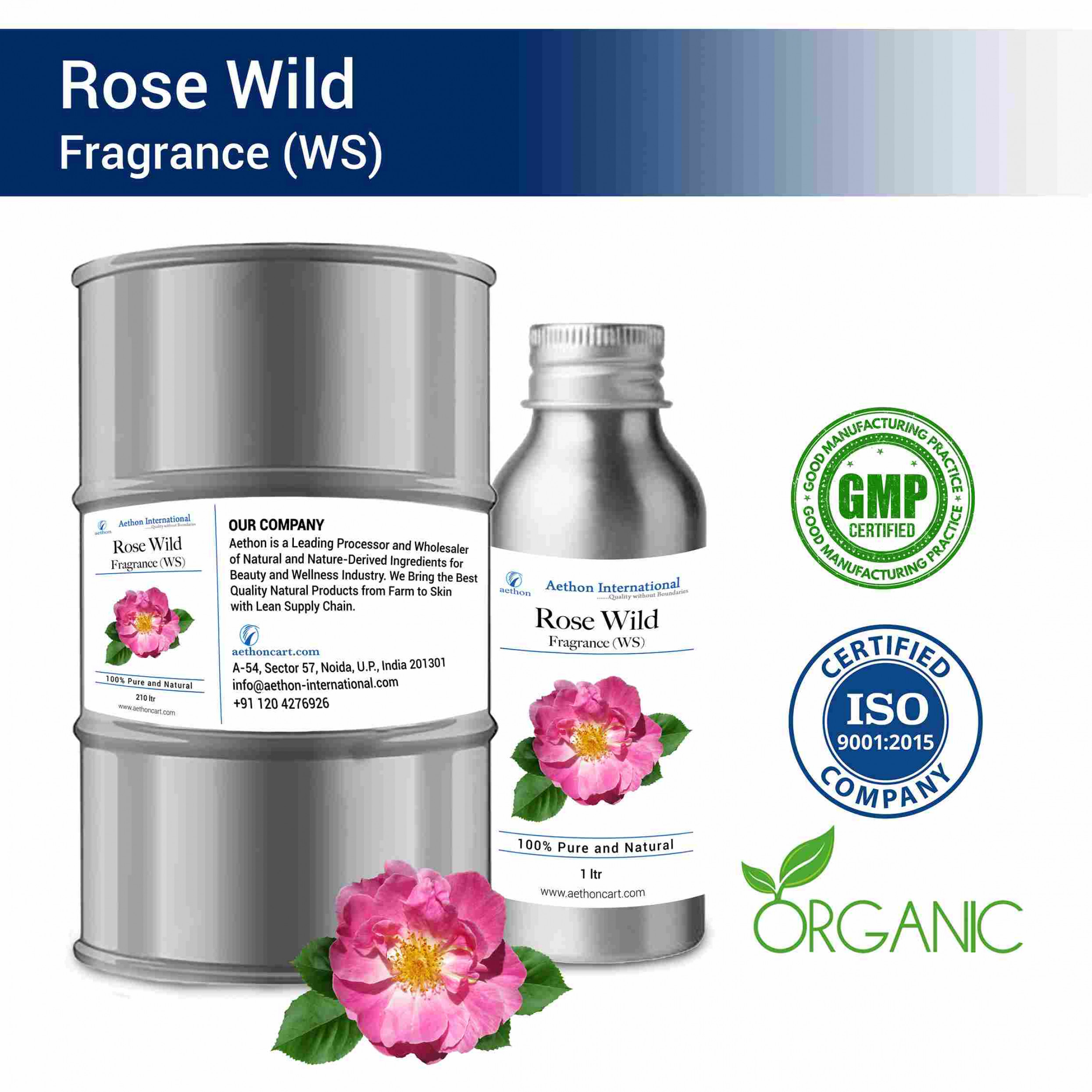 Rose Wild Fragrance (WS)