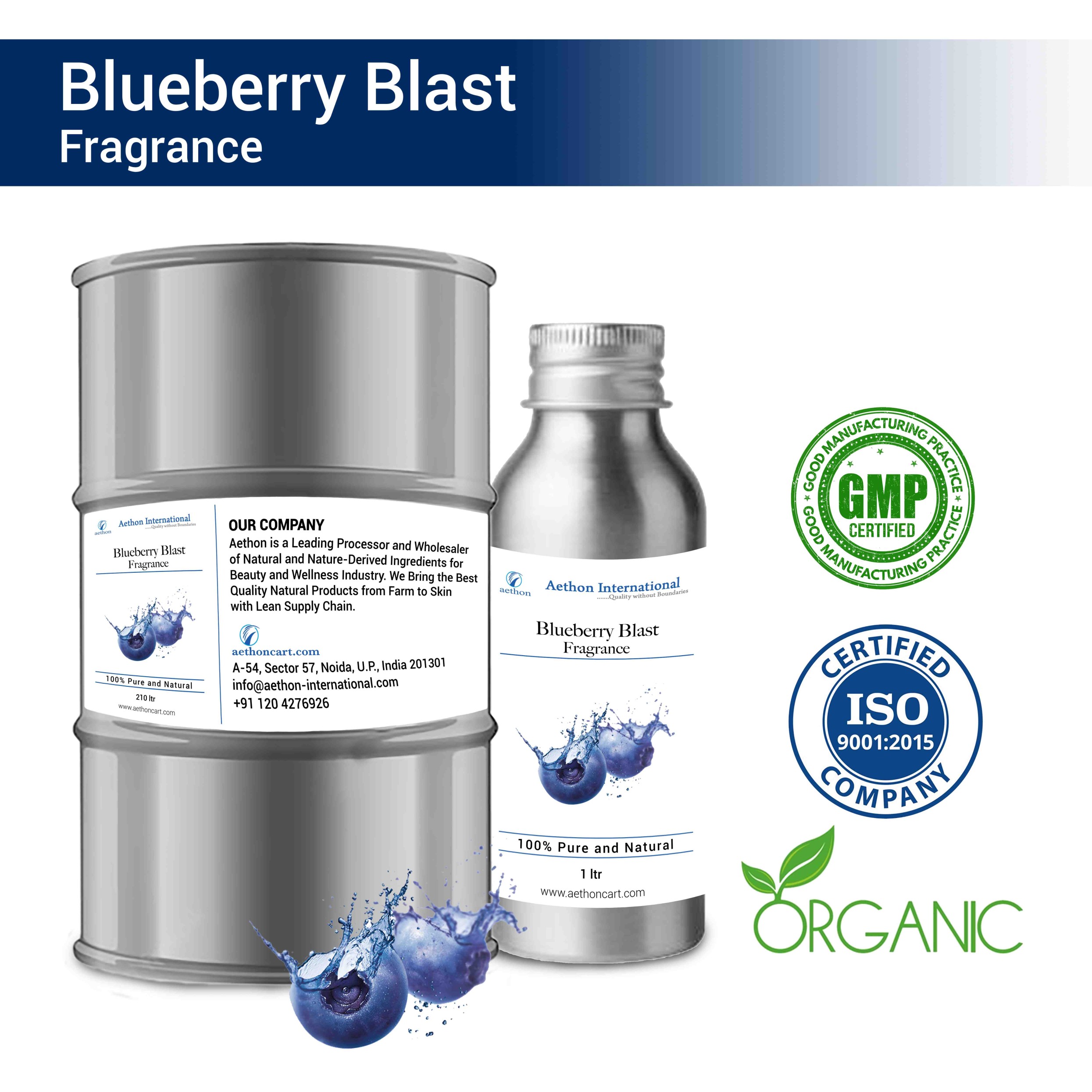 Blueberry Blast (WS)