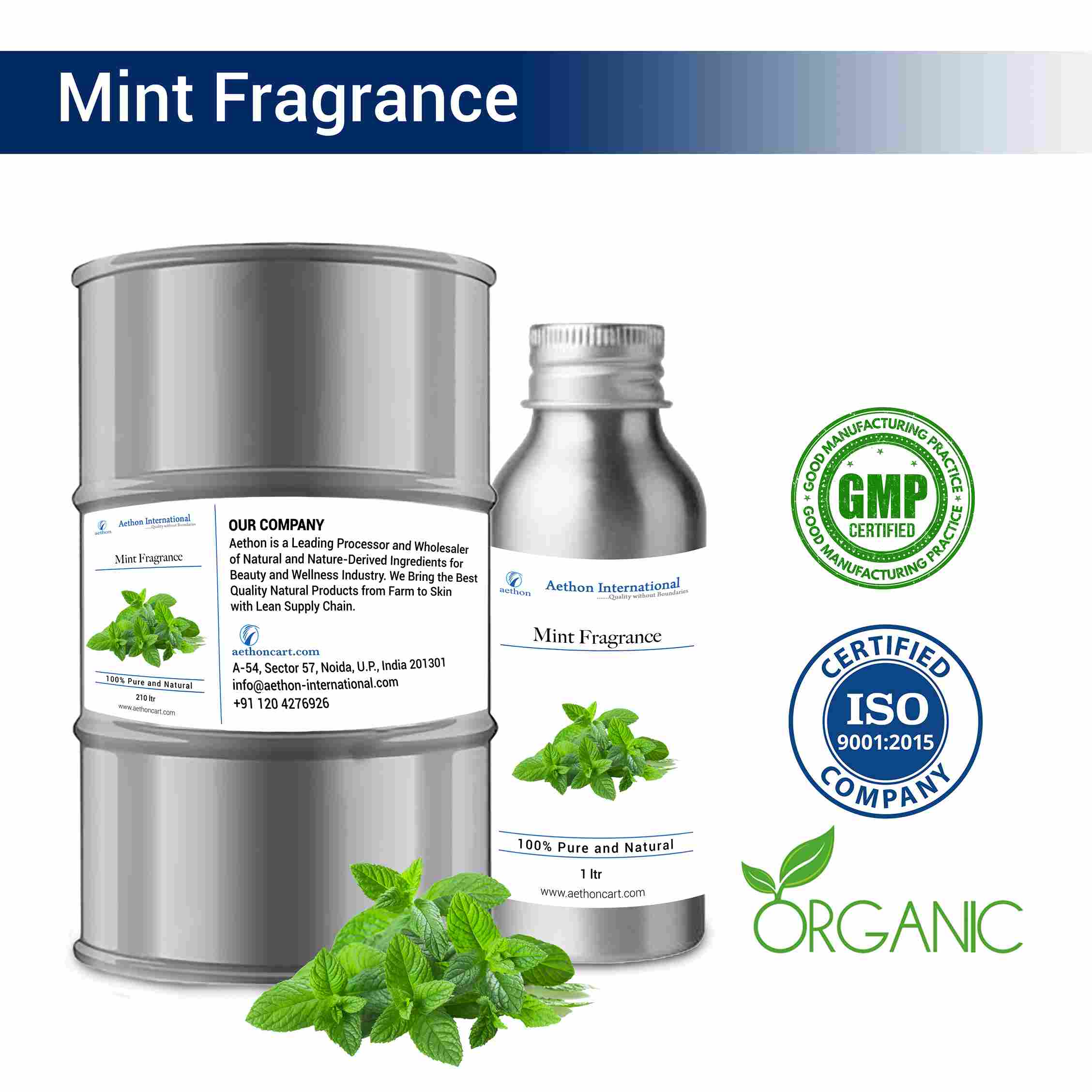 Mint Fragrance