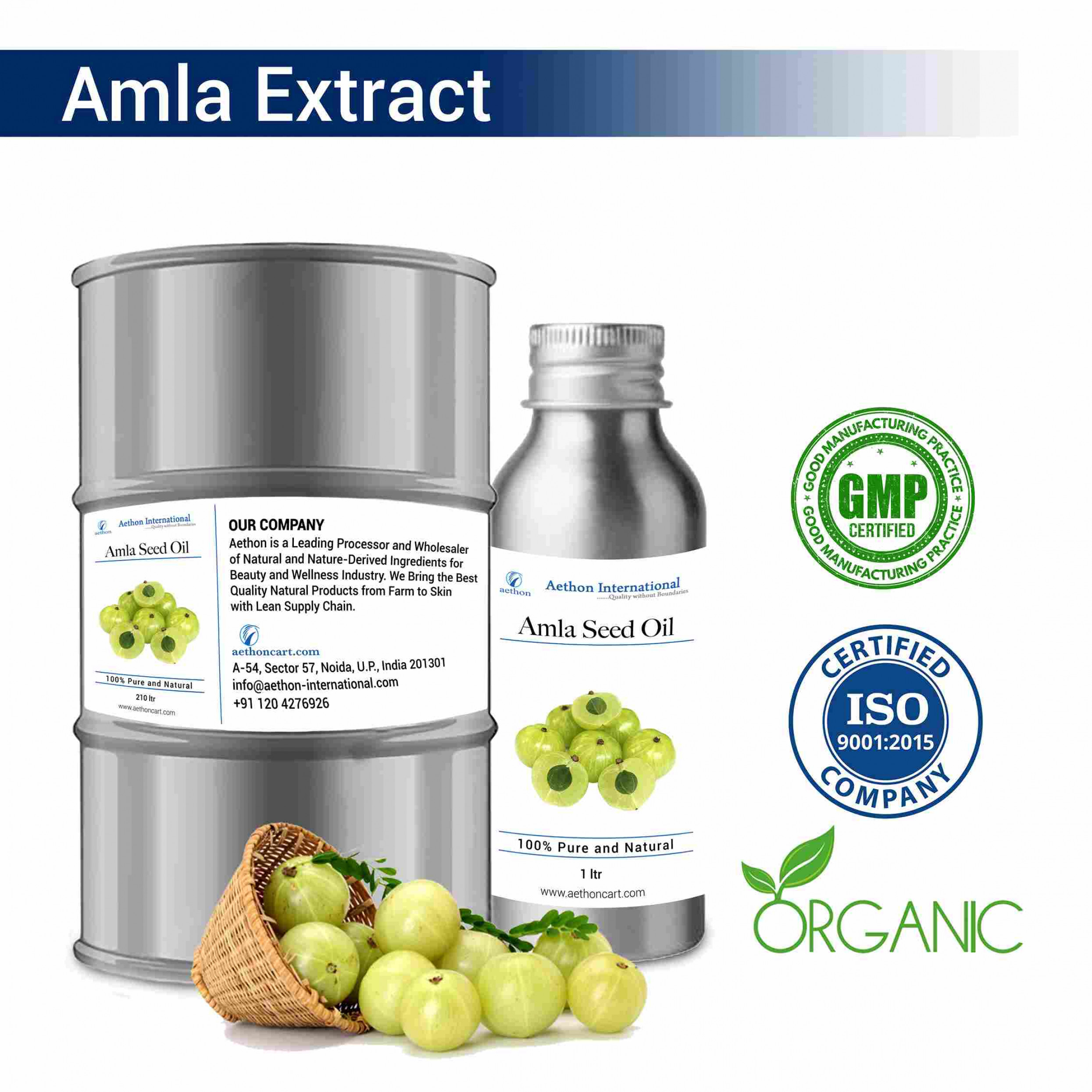 Amla Extract (WATER SOLUBLE)